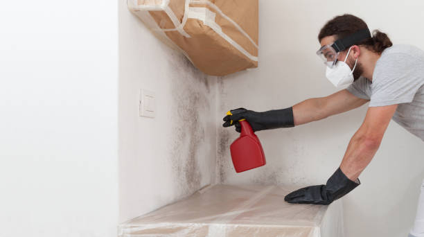 Professional Bathroom Mold Removal technician working in Mackinaw City, MI