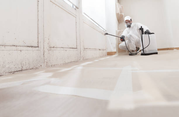 24/7 Emergency Bathroom Mold Removal experts in Mackinaw City, MI